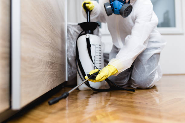 Best Rat Extermination Near Me  in Andrews Af, MD