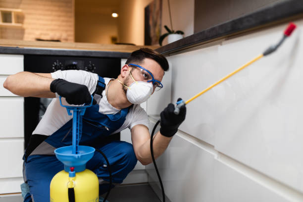 Best Pest Prevention Services  in Andrews Af, MD