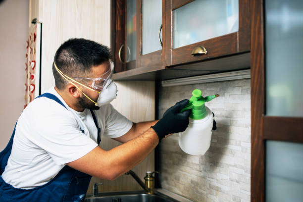 Reliable Andrews Af, MD Pest Control Solutions