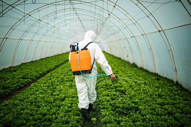 Best Pest Control Cost  in Andrews Af, MD