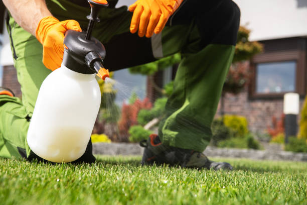 Best Local Pest Control Services  in Andrews Af, MD