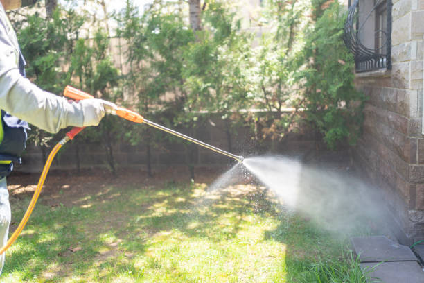 Best Flea Control Services  in Andrews Af, MD