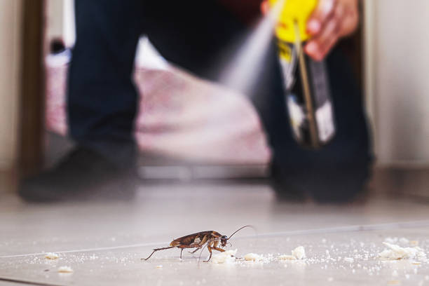 Best Pest Removal Services  in Andrews Af, MD