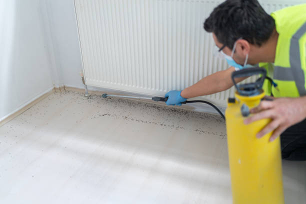 Best Cockroach Control Services  in Andrews Af, MD