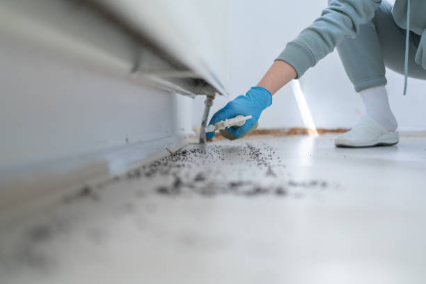 Best Residential Pest Control  in Andrews Af, MD